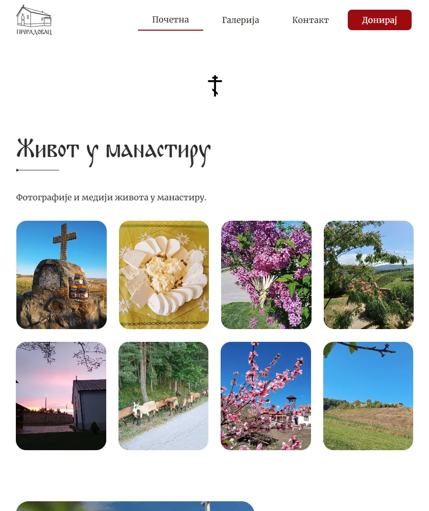 Portfolio image 23